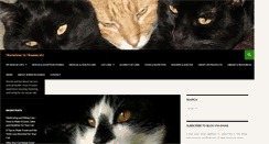 Desktop Screenshot of homelesstohousecats.com